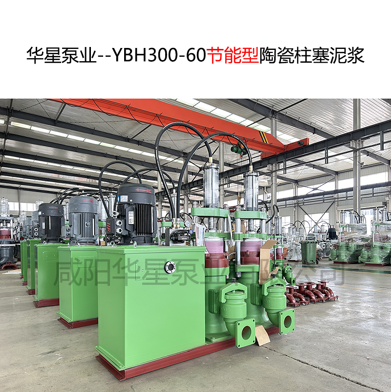 市政污水處理廠使用YBH300-60不銹鋼泥漿泵