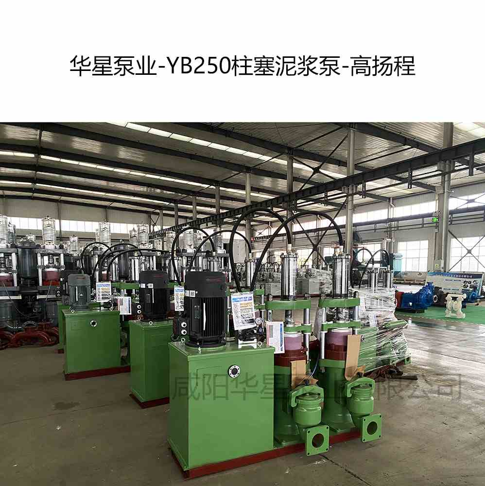 選礦廠購(gòu)買2臺(tái)YB250高揚(yáng)程柱塞泥漿泵