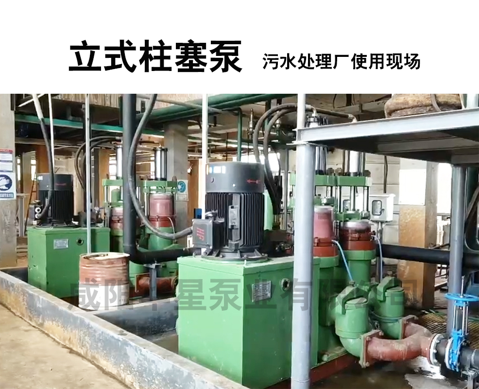 立式柱塞泵污水處理廠使用現(xiàn)場