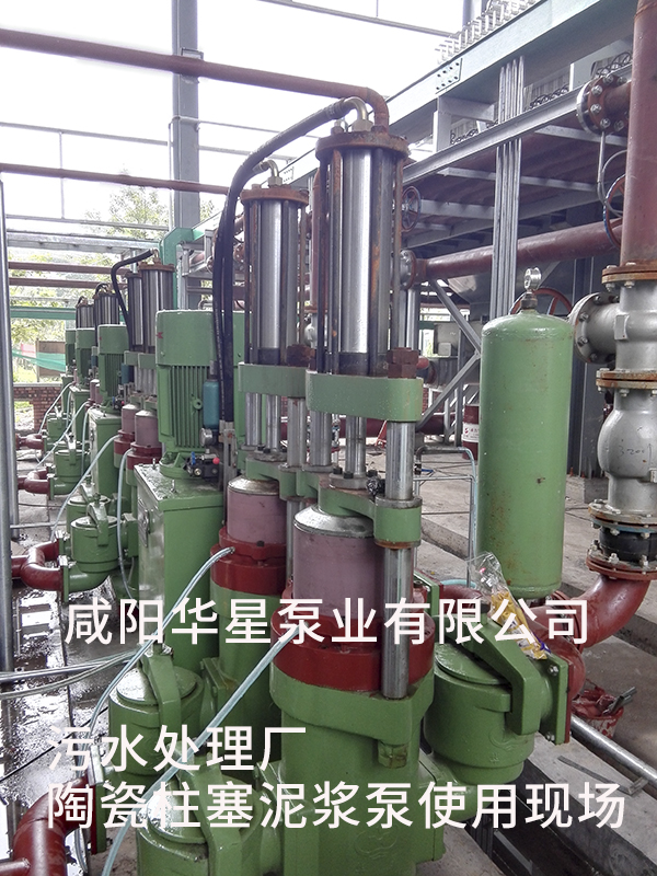 山東淄博光大水務(wù)-市政污水處理-水印5