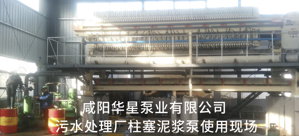 河南蘭考市政污水處理-水印