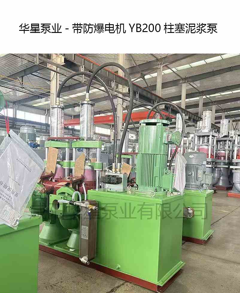 帶防爆電機(jī)YB200柱塞泥漿泵-華星泵業(yè)-產(chǎn)品圖片